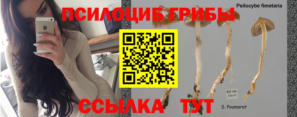 Галлюциногенные грибы мицелий Златоуст